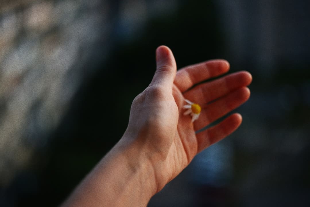 尿酸高如何降低